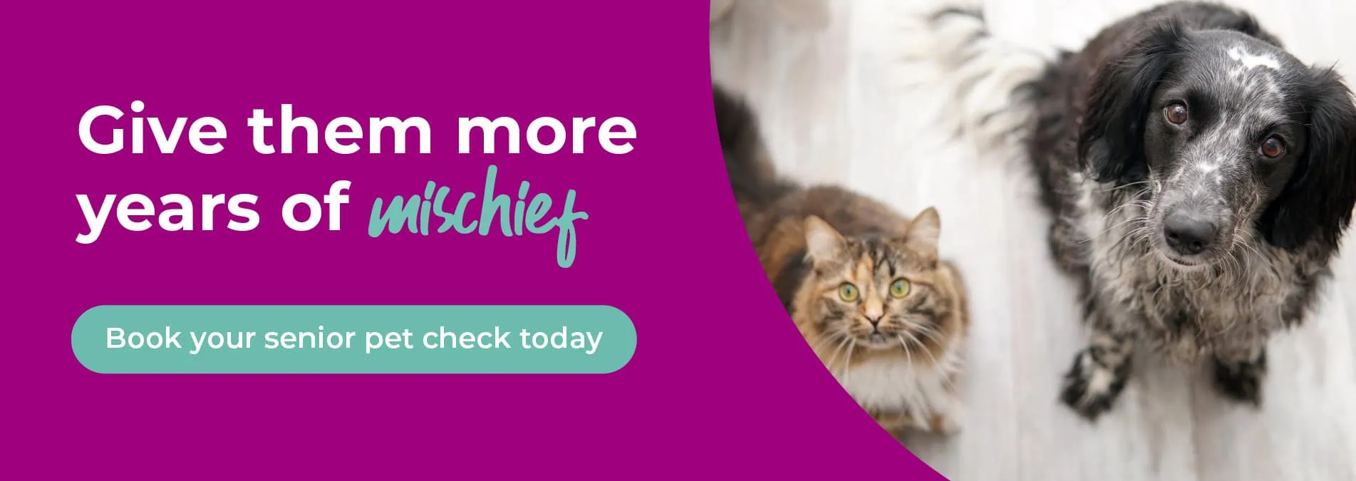 Vets in Cambridgeshire | Cromwell Vets 6 vet practices