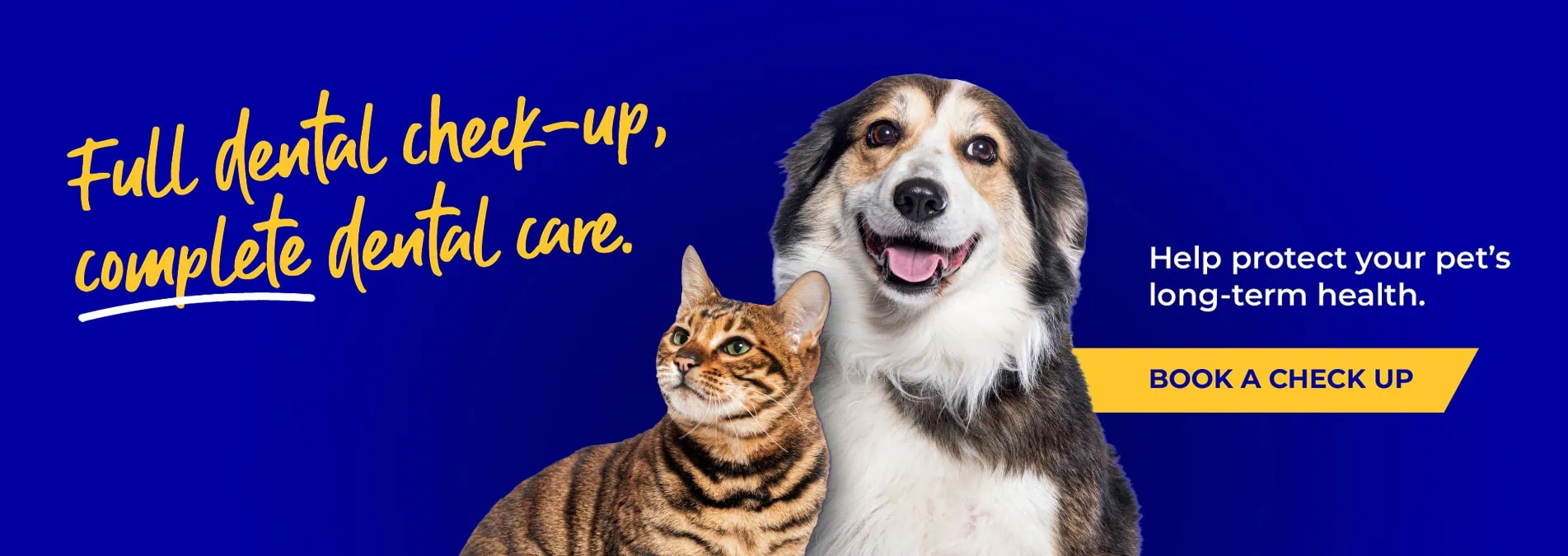 Vets in Cambridgeshire | Cromwell Vets 6 vet practices