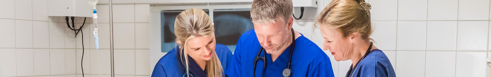 Cromwell Vets environmental policy