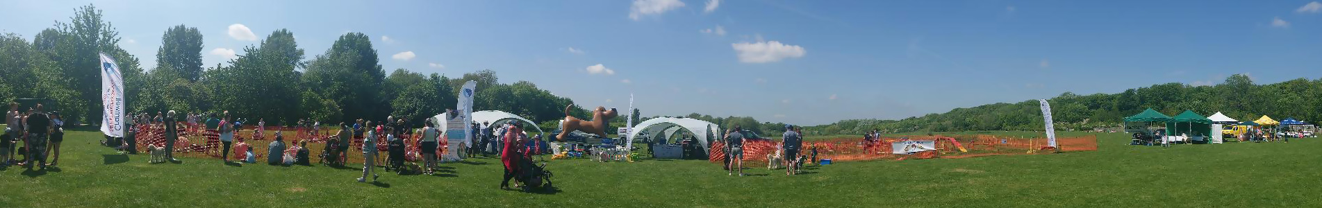 Charities Cromwell Vets support