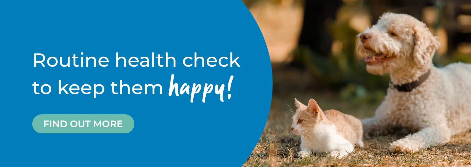 Vets in Cambridgeshire | Cromwell Vets 6 vet practices