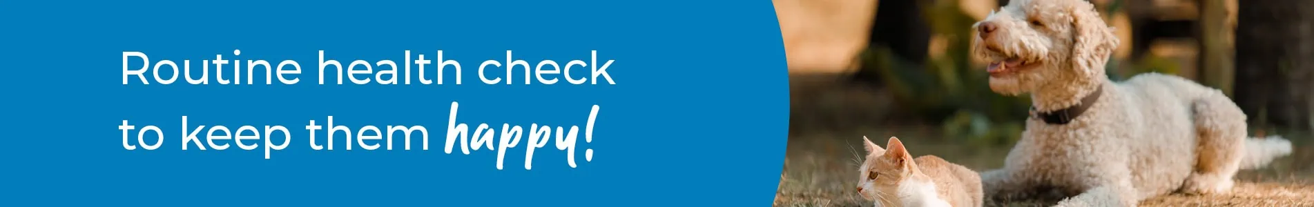 Pet Health Check in Cambridgeshire | Preventative Vet Care