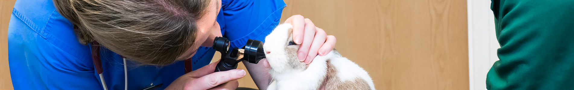 Cromwell Vets veterinary Facilities