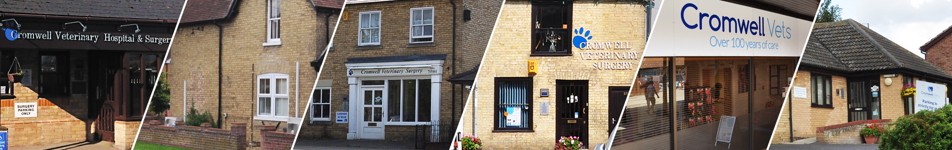 Cromwell Vets | Your local vet in Cambridgeshire