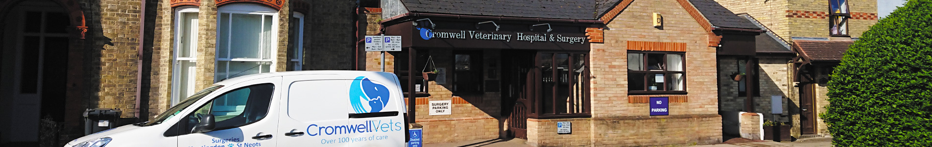 Vets in Huntingdon, Cambridgshire