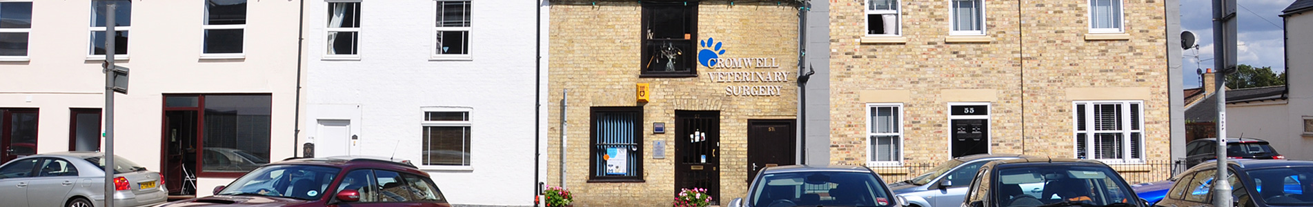 Vets in Ramsey, Cambridgshire