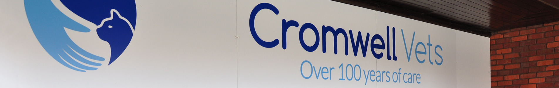 Your local vet in St Ives, Cambridgeshire