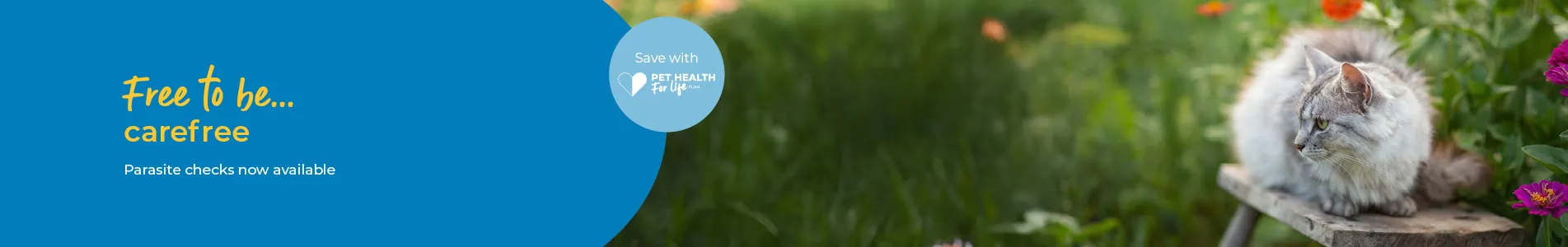 Pet flea and worm treatment in Cambridgeshire