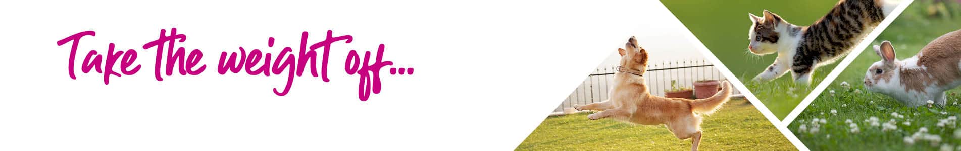 Pet Weight Management at Cromwell Vets