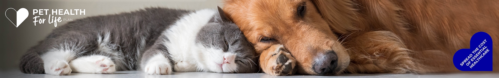 Pet Health for Life Plan from Cromwell Vets