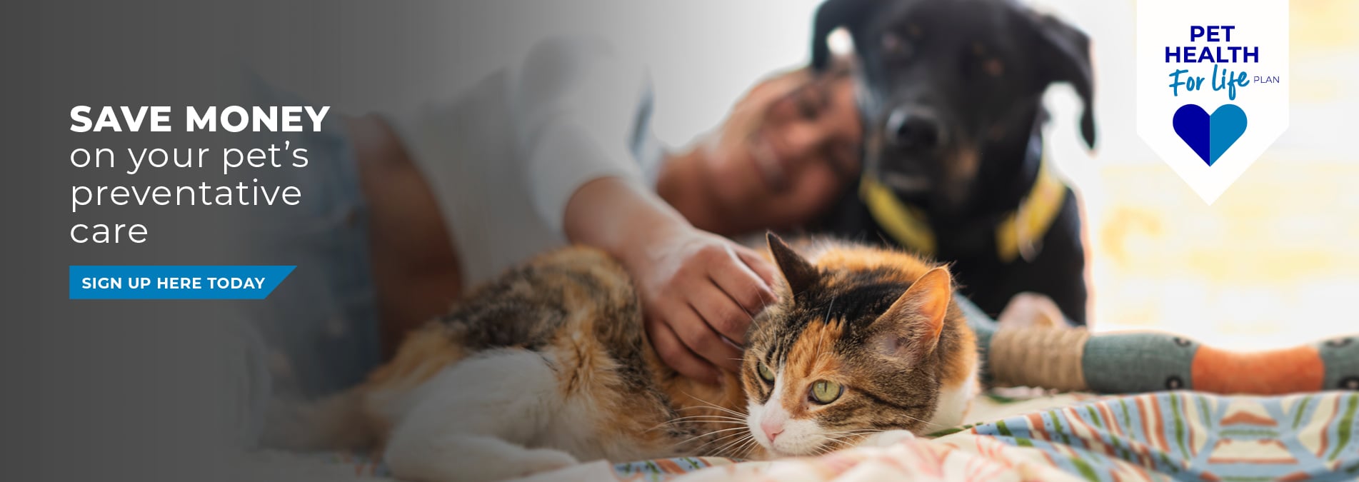 Vets in Cambridgeshire | Cromwell Vets 6 vet practices