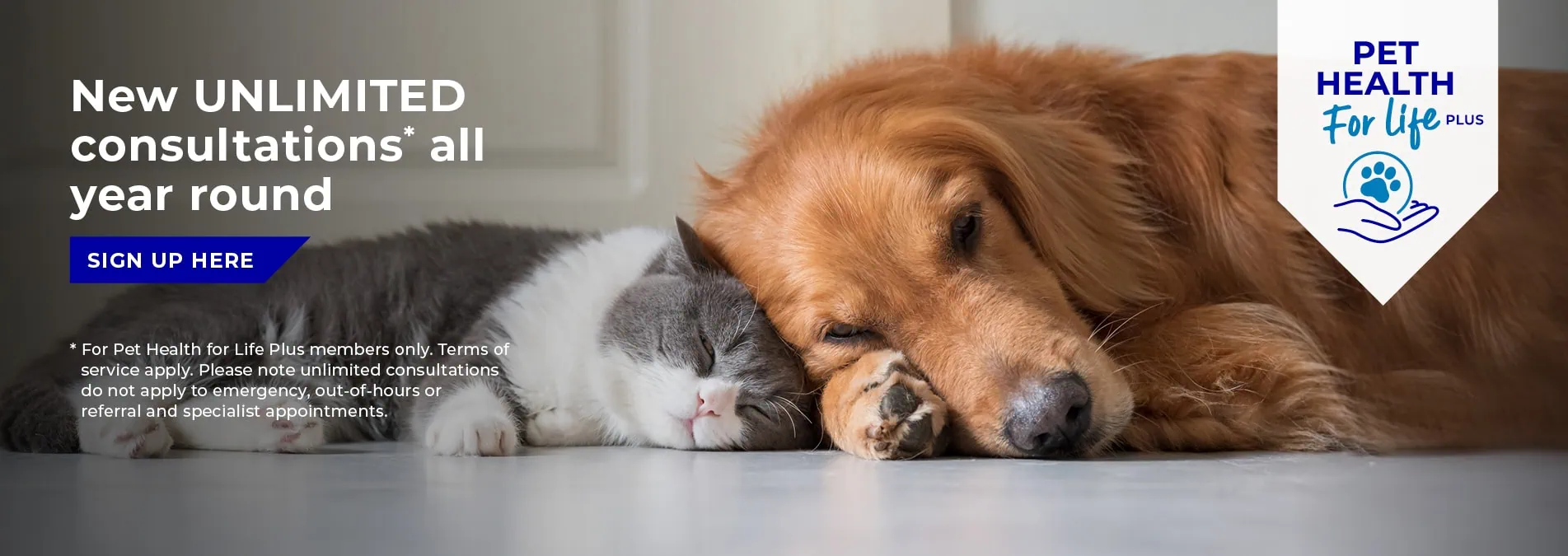 Vets in Cambridgeshire | Cromwell Vets 6 vet practices