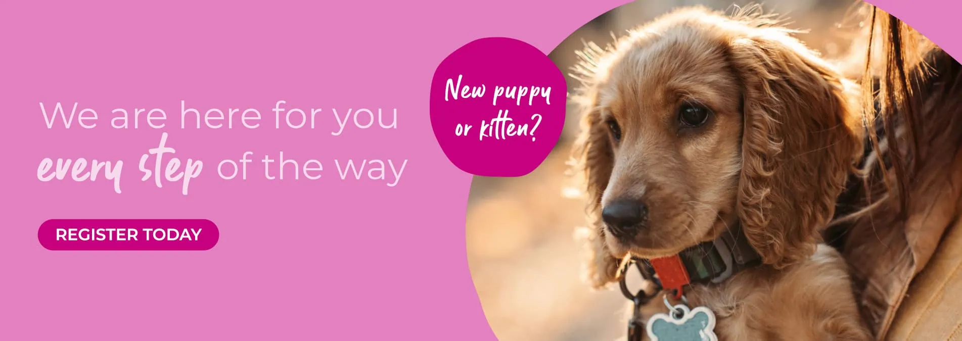 Vets in Cambridgeshire | Cromwell Vets 6 vet practices