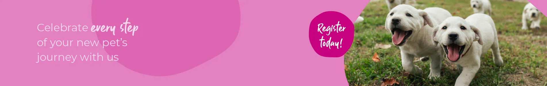 Welcoming your new puppy or kitten